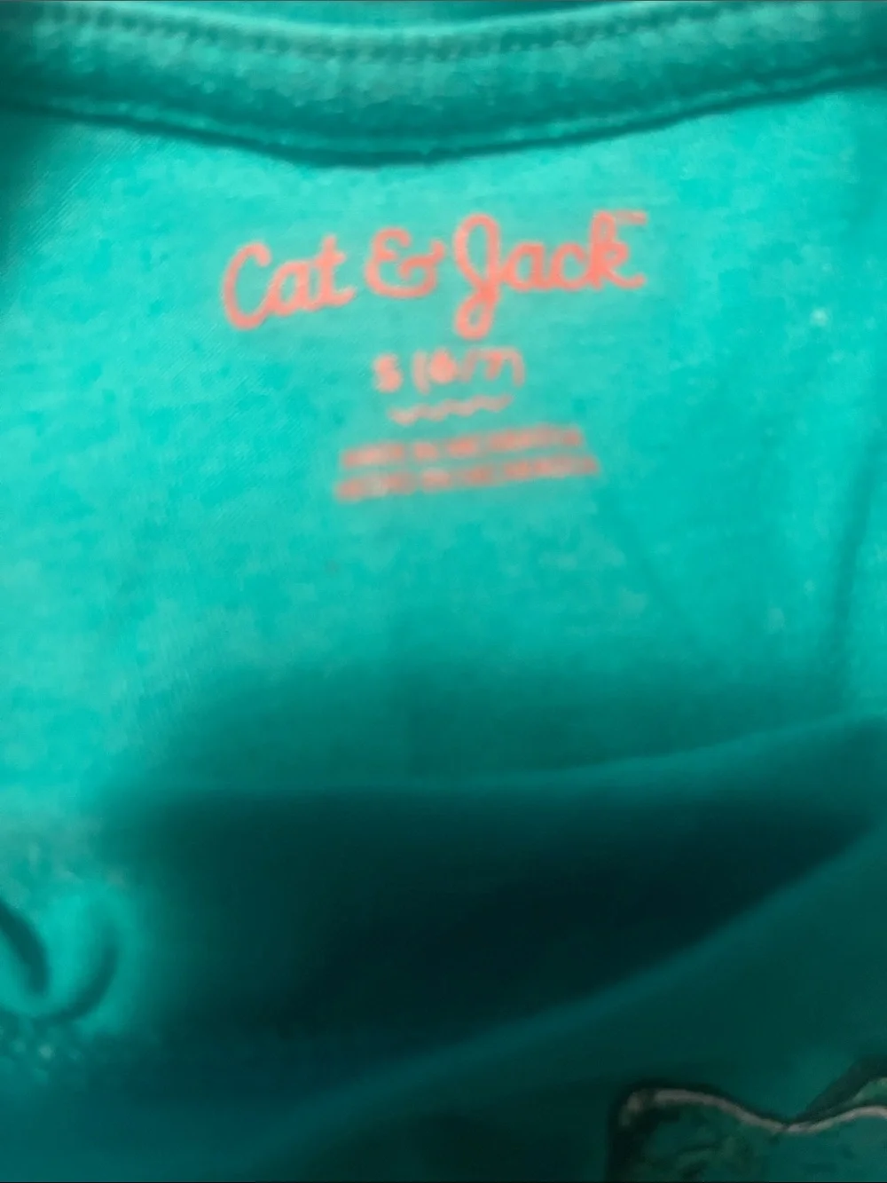 Cat & Jack Teal Tee with Dino on Pink Flamingo Graphic